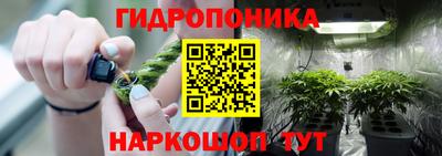 дмт Канаш