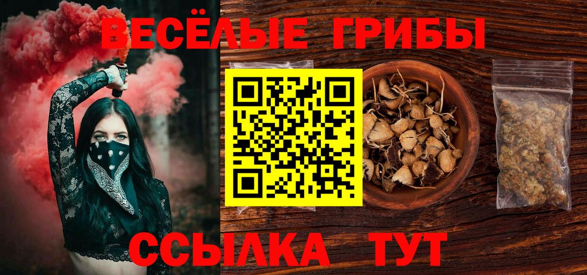 Псилоцибиновые грибы прущие грибы Южно-Сахалинск