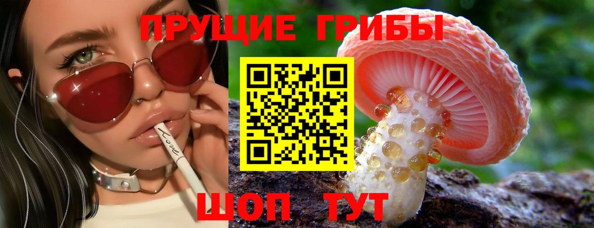 Псилоцибиновые грибы GOLDEN TEACHER  Вход с VPN  цена наркотик  Галлюциногенные грибы ЛСД  Южно-Сахалинск 